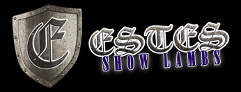 Estes Show Lambs